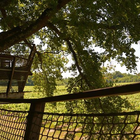 Cabanes De La Romaningue Pompignac エクステリア 写真