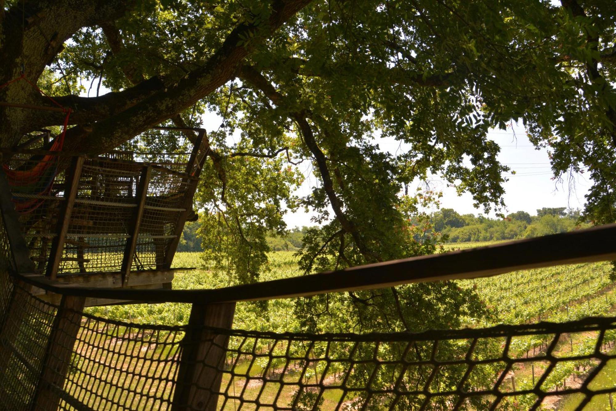 Cabanes De La Romaningue Pompignac エクステリア 写真